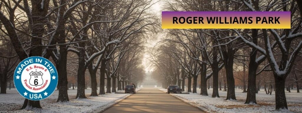 Snowy park pathway with trees